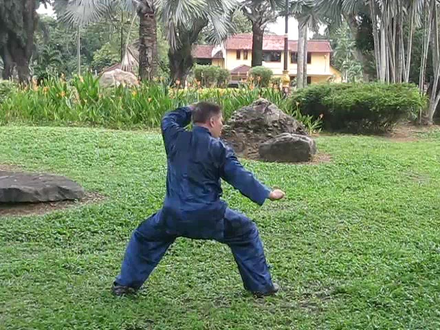 Wu Yu Xiang Style Taijiquan